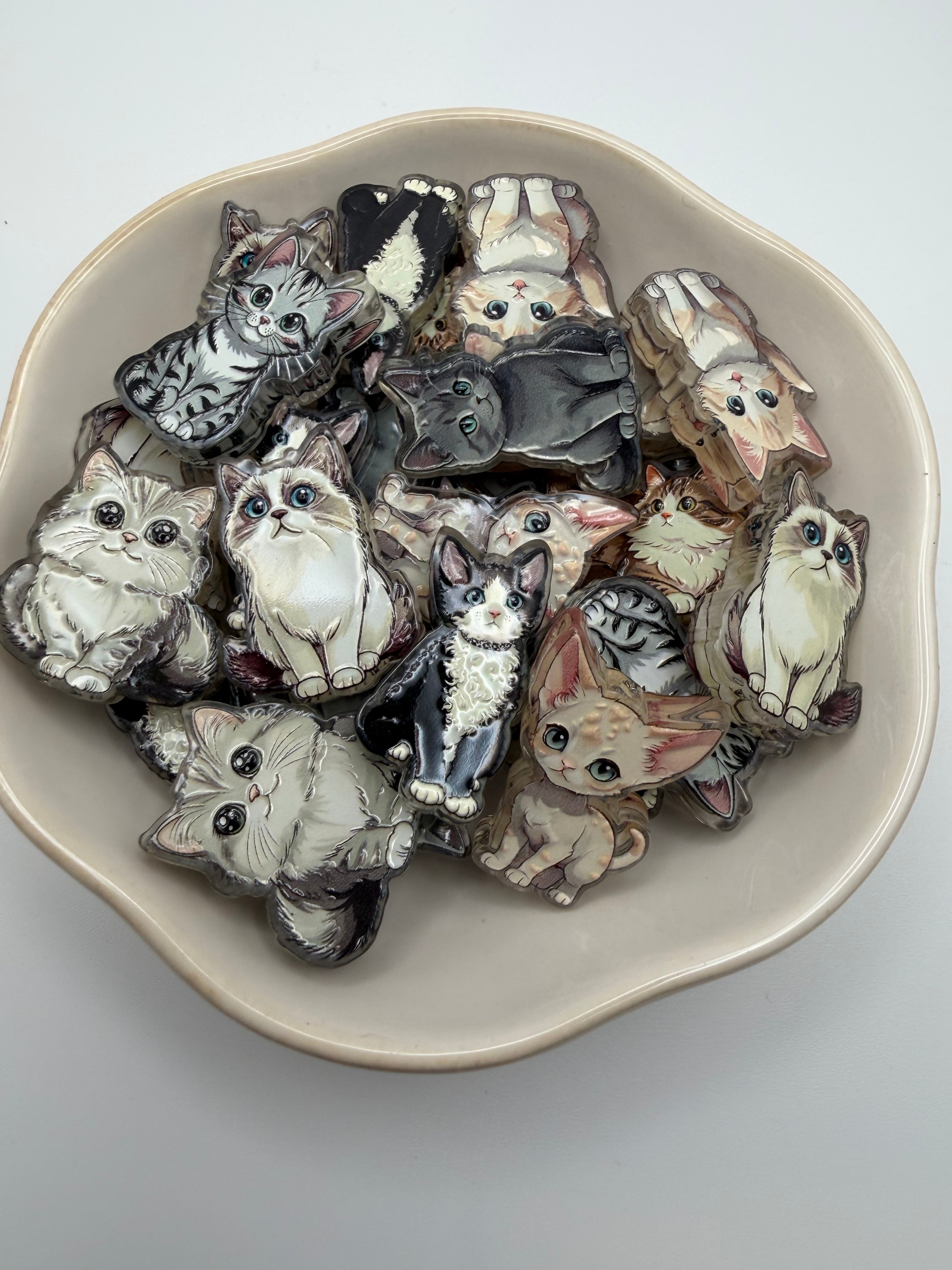 Cat Acrylic Mix