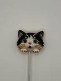 Cute Kitty Heads