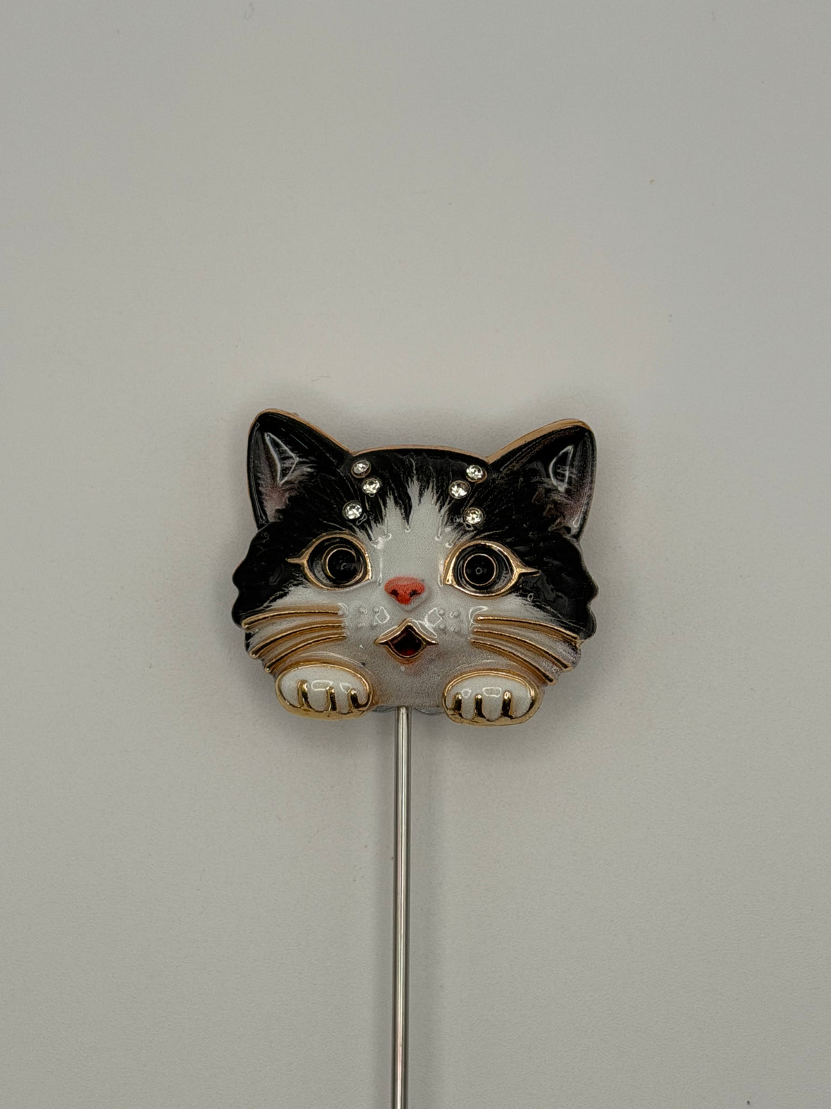 Cute Kitty Heads
