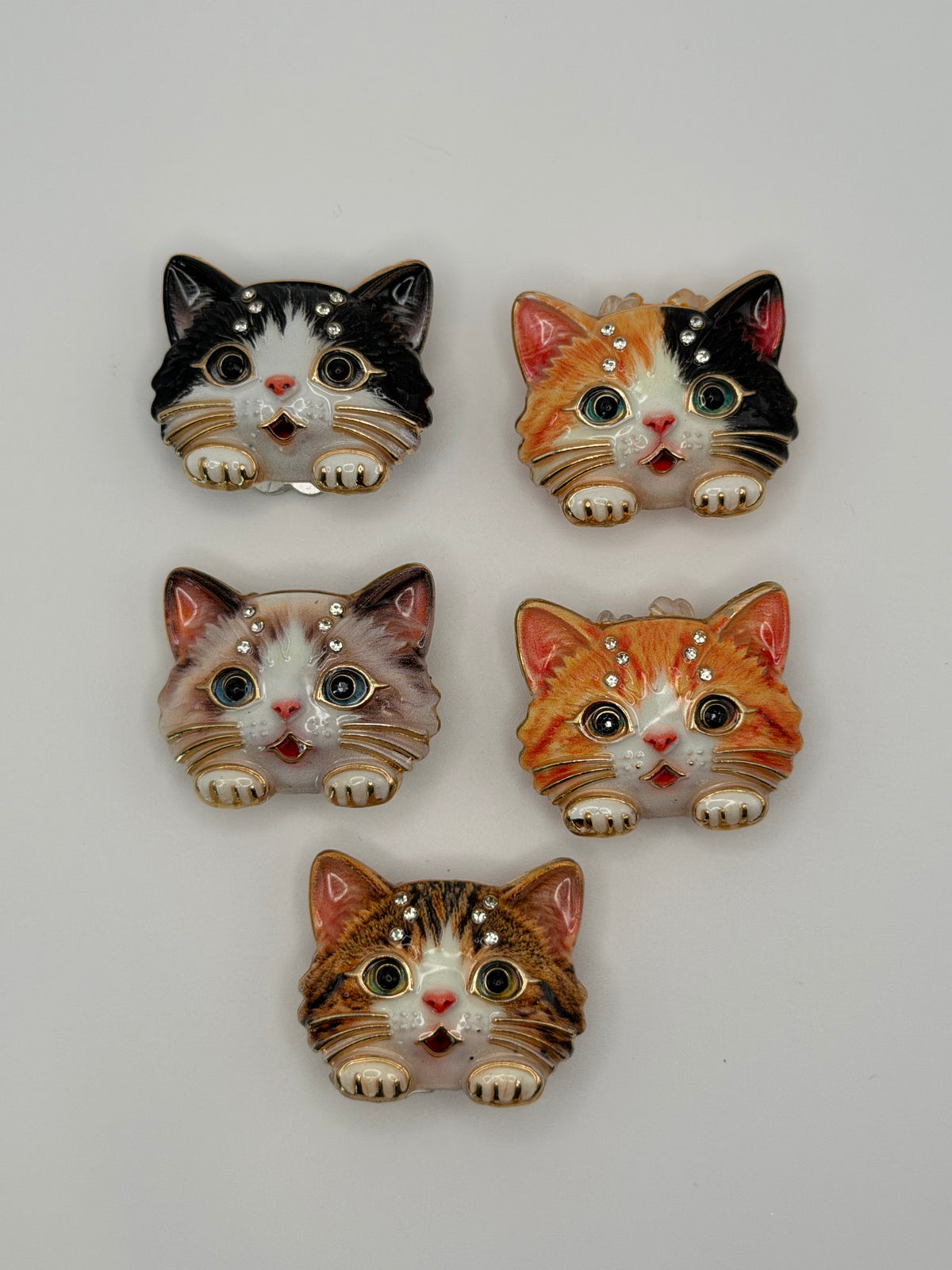 Cute Kitty Heads