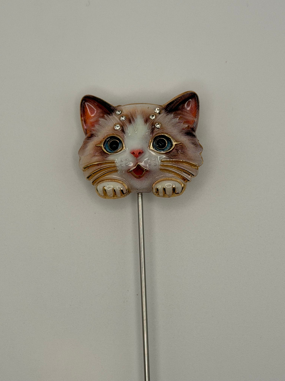 Cute Kitty Heads