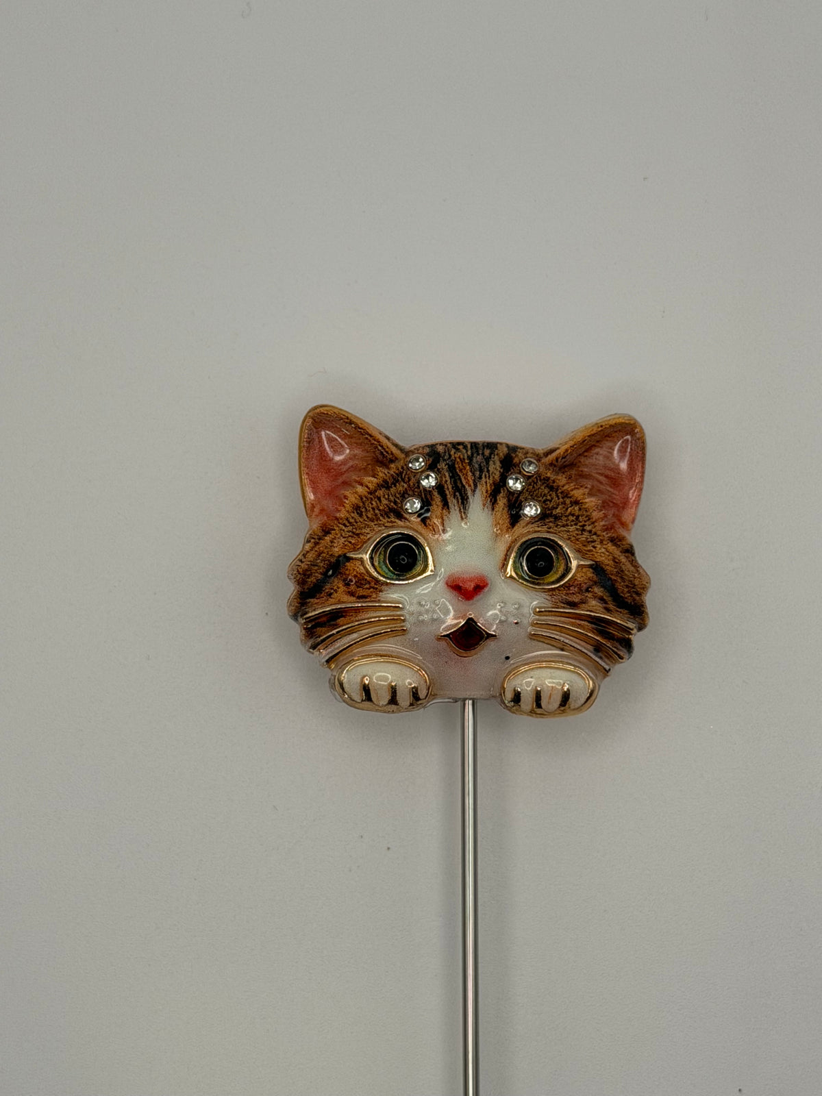 Cute Kitty Heads