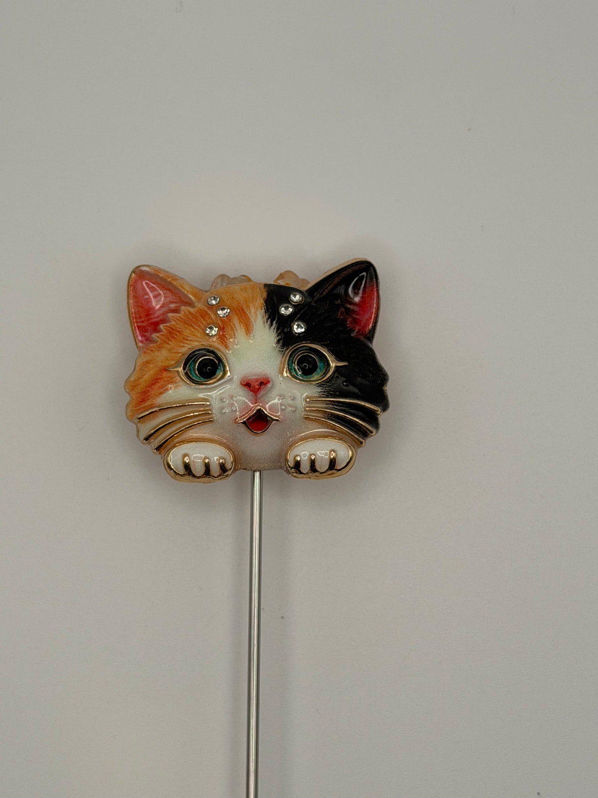Cute Kitty Heads